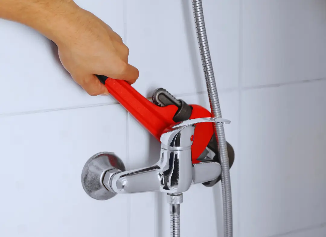 Mitigeur Thermostatique douche Reichshoffen